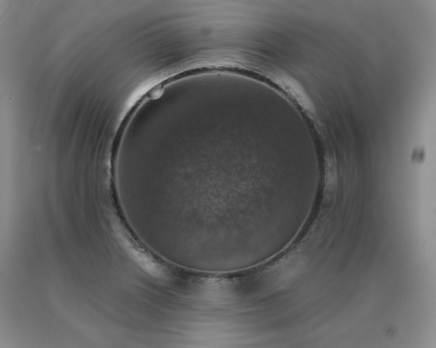X0000091061226200708061235