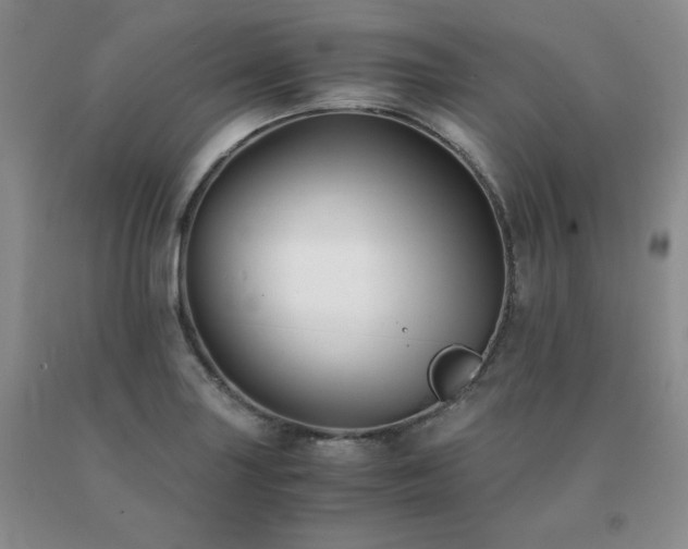 X0000091061227200708061235