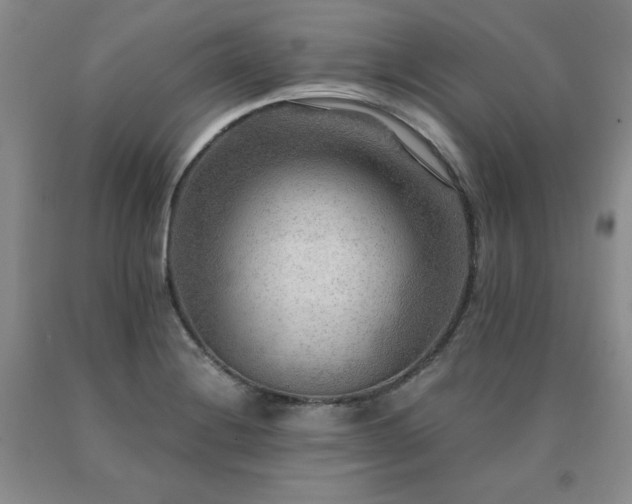 X0000091061228200708061235