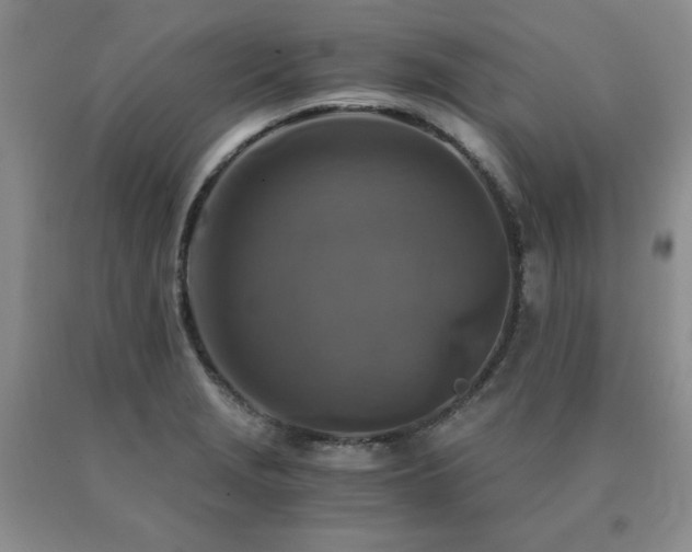 X0000091061229200708061235