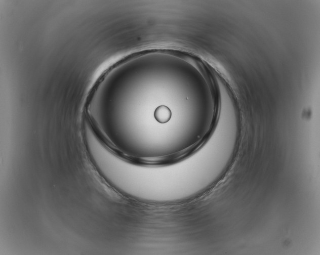 X0000091061230200708061235