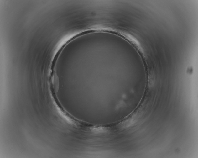 X0000091061231200708061235
