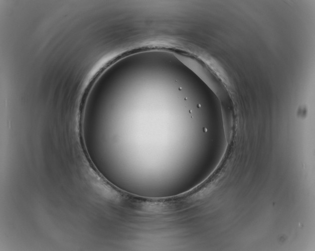 X0000091061232200708061235