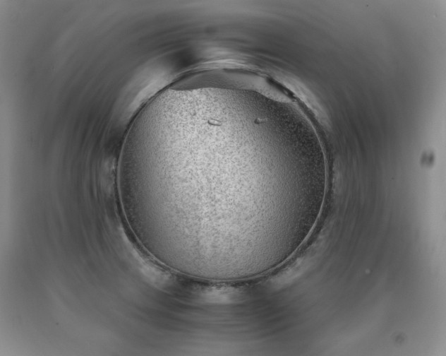 X0000091061233200708061235