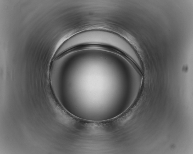 X0000091061234200708061235