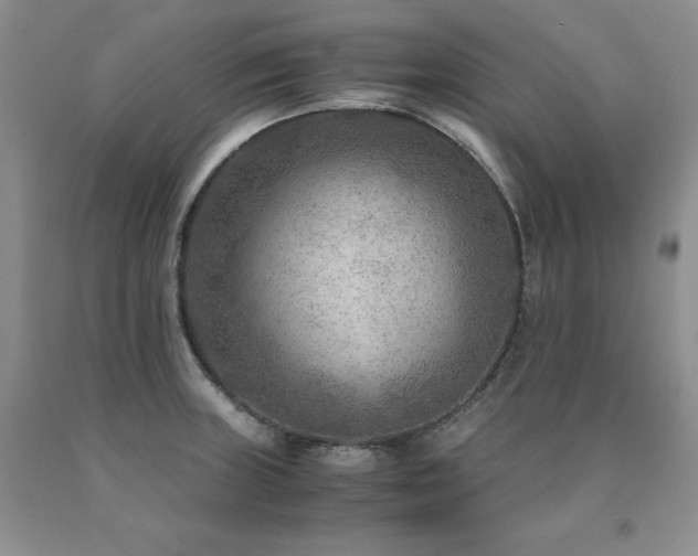 X0000091061235200708061235