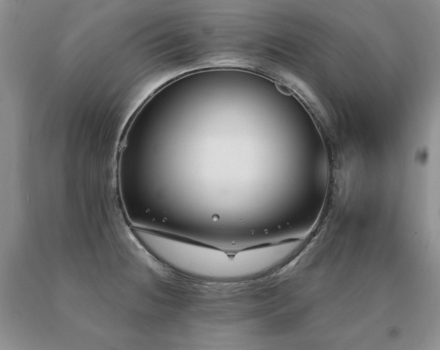 X0000091061236200708061235