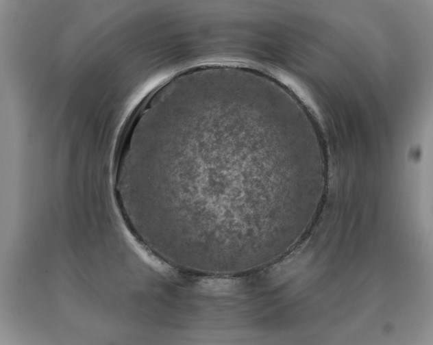 X0000091061237200708061235