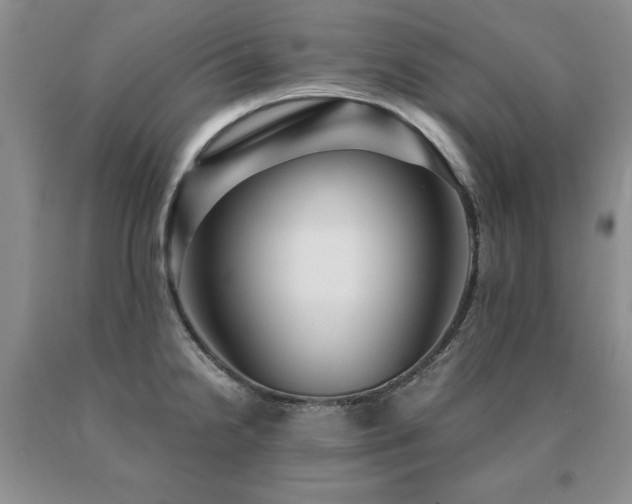X0000091061238200708061235
