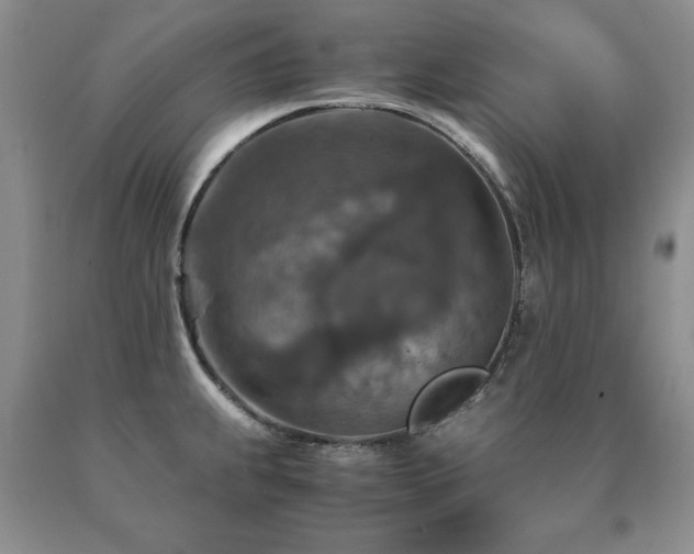 X0000091061239200708061235