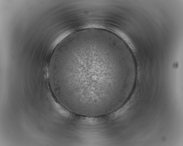 X0000091061241200708061235