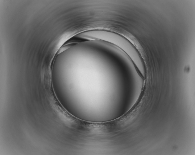 X0000091061242200708061235