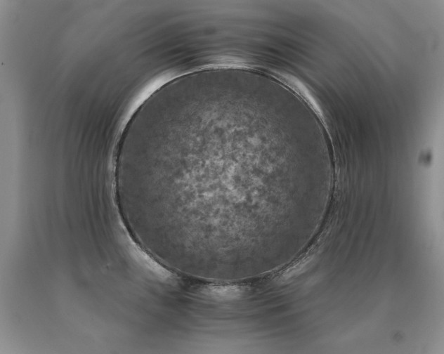 X0000091061243200708061235