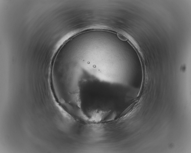 X0000091061245200708061235