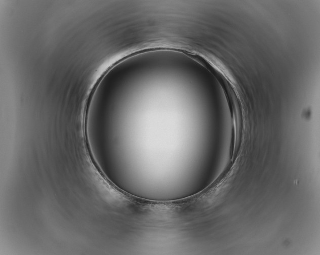 X0000091061246200708061236