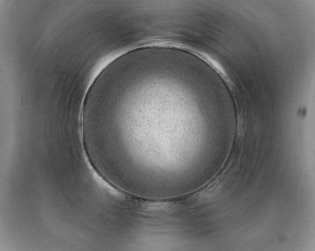 X0000091061247200708061236