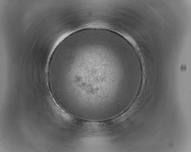 X0000091061248200708061236
