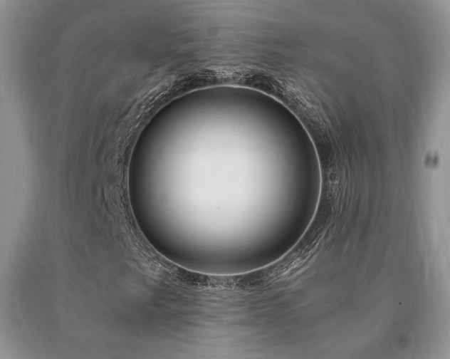 X0000091061249200708061235