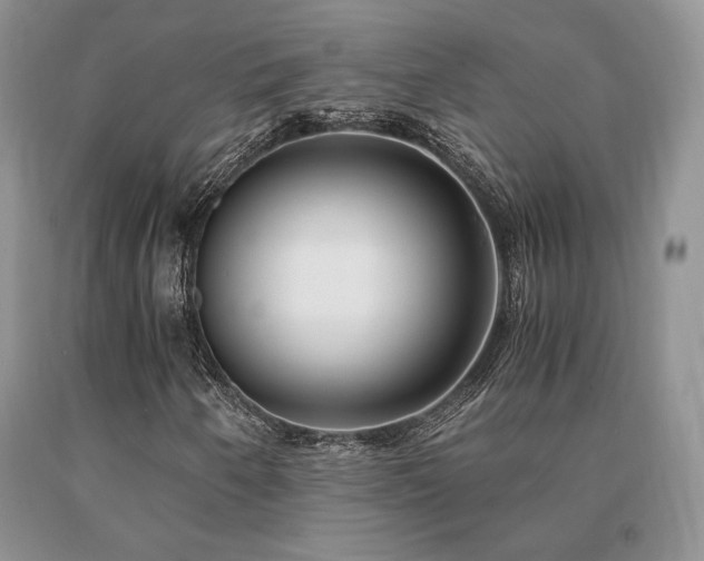 X0000091061250200708061235