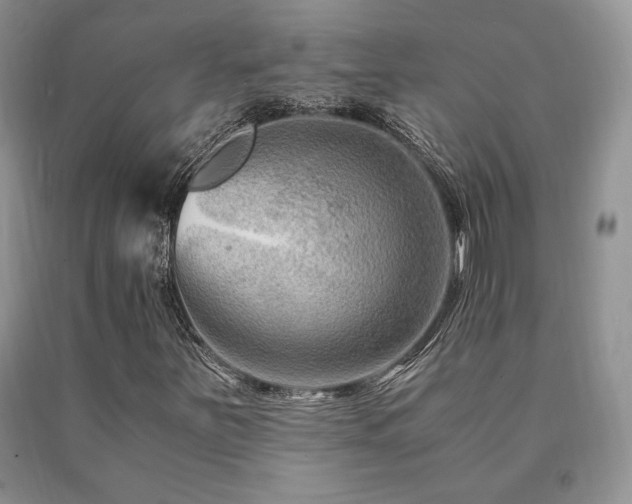X0000091061251200708061235