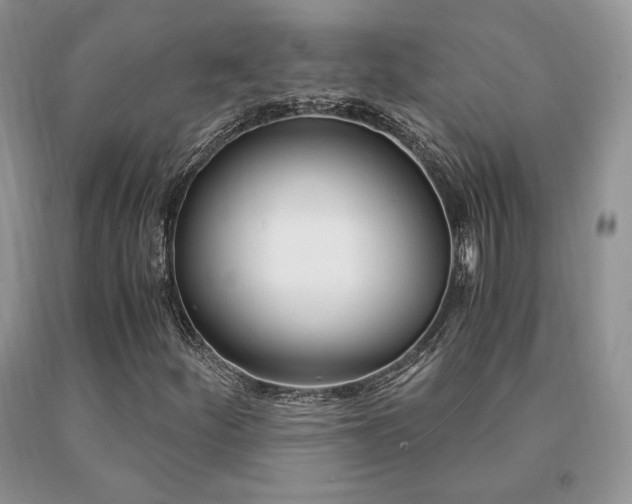 X0000091061252200708061235