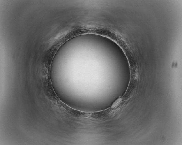 X0000091061253200708061235