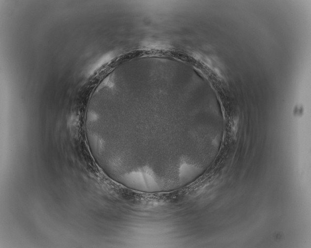 X0000091061254200708061235