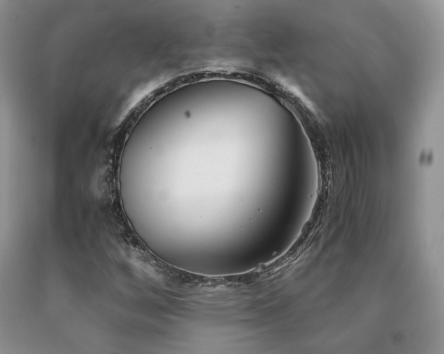 X0000091061256200708061235