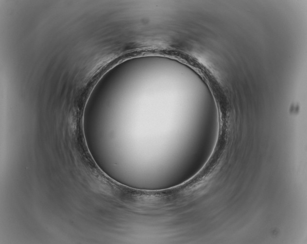 X0000091061257200708061235