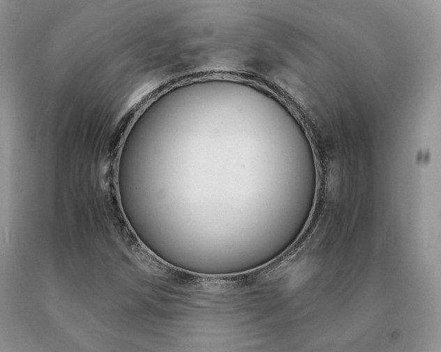 X0000091061258200708061235