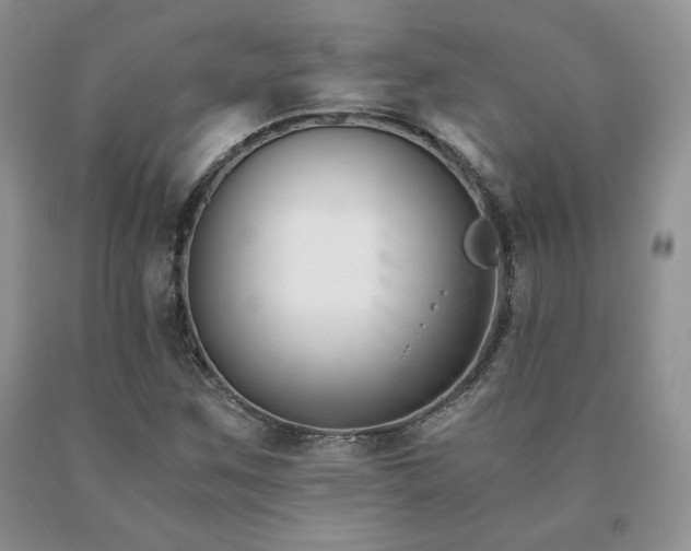 X0000091061259200708061235