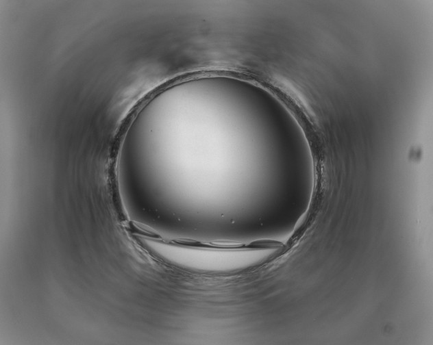 X0000091061260200708061235