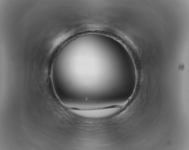 X0000091061261200708061235