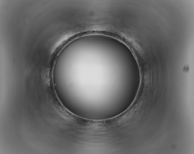 X0000091061262200708061235