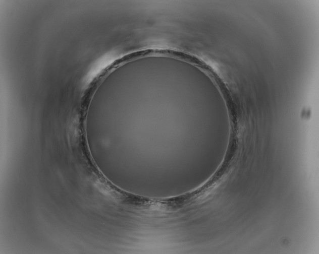 X0000091061263200708061235