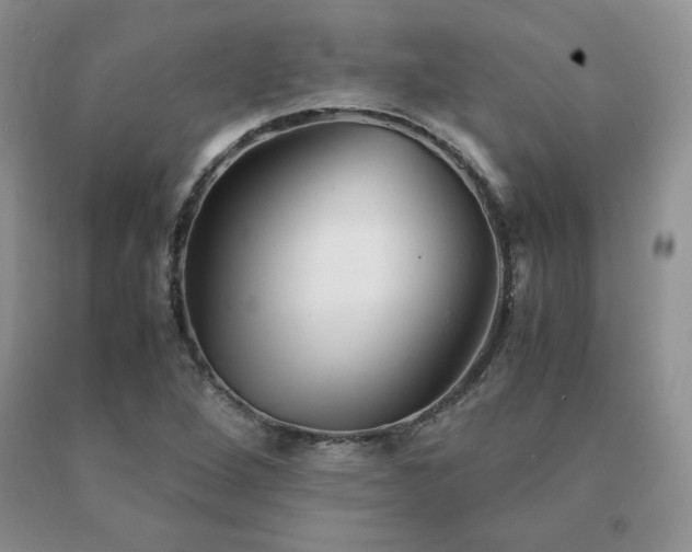 X0000091061264200708061235