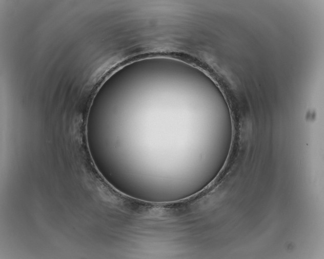 X0000091061265200708061235