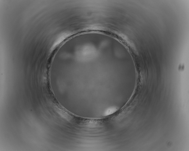 X0000091061266200708061235