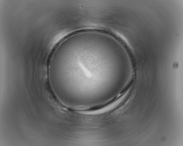 X0000091061267200708061235