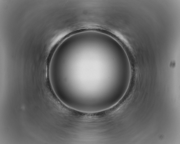 X0000091061269200708061235