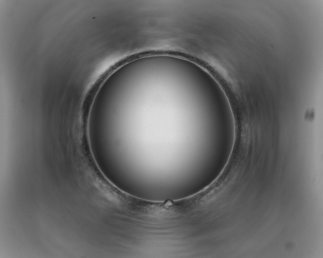 X0000091061270200708061235