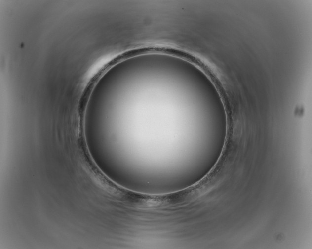 X0000091061271200708061235