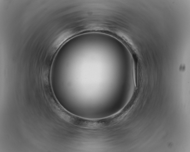 X0000091061273200708061235