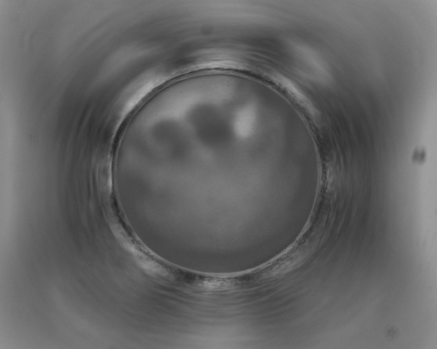 X0000091061274200708061235