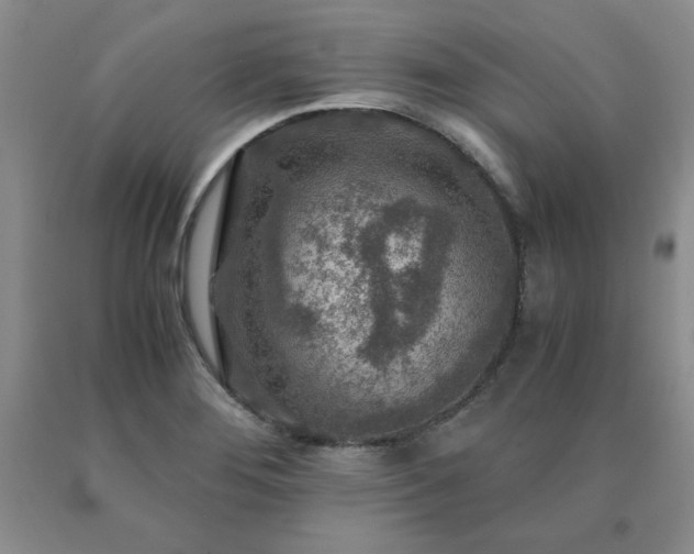 X0000091061276200708061235
