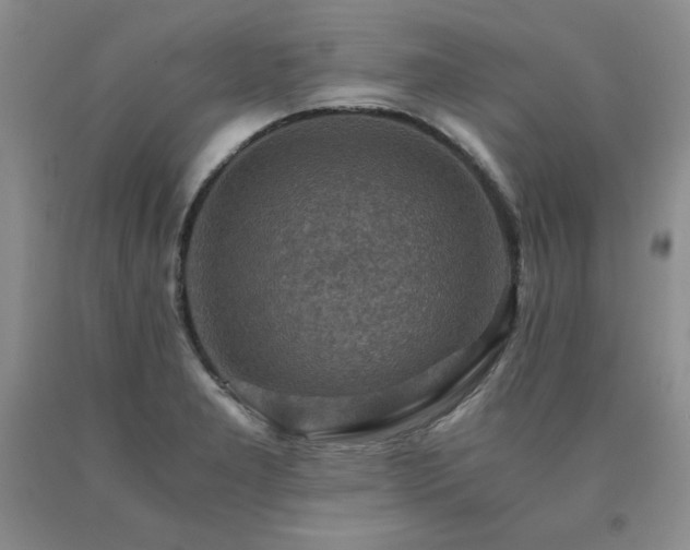 X0000091061277200708061235