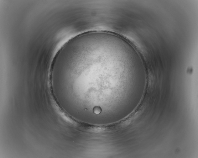 X0000091061278200708061235
