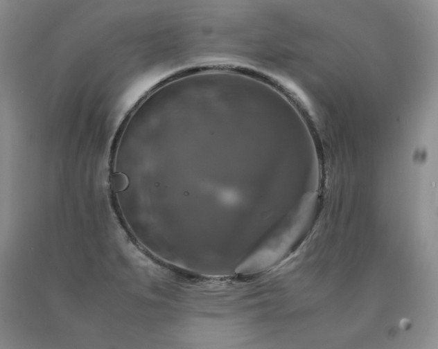 X0000091061279200708061235