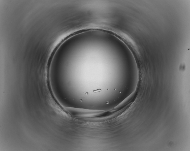 X0000091061280200708061235