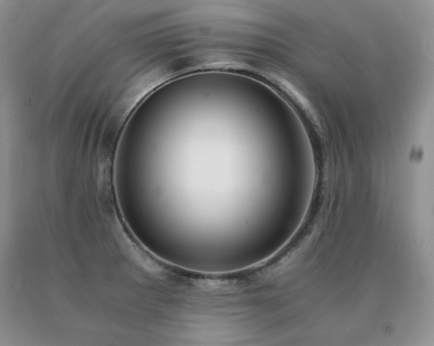 X0000091061281200708061235